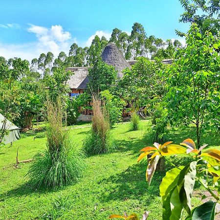 Chimpanzee Capital Safari Lodge Bigodi エクステリア 写真