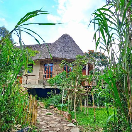 Chimpanzee Capital Safari Lodge Bigodi エクステリア 写真
