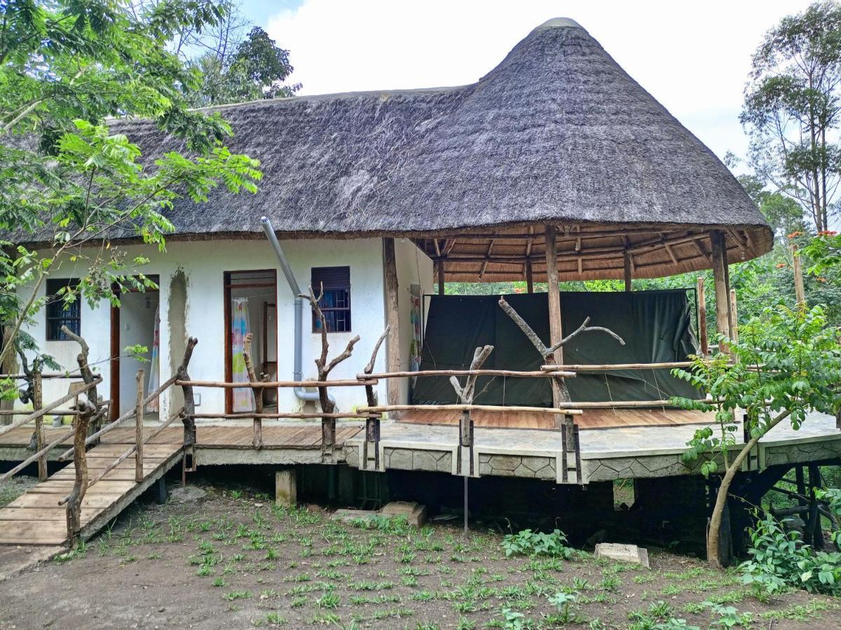 Chimpanzee Capital Safari Lodge Bigodi エクステリア 写真