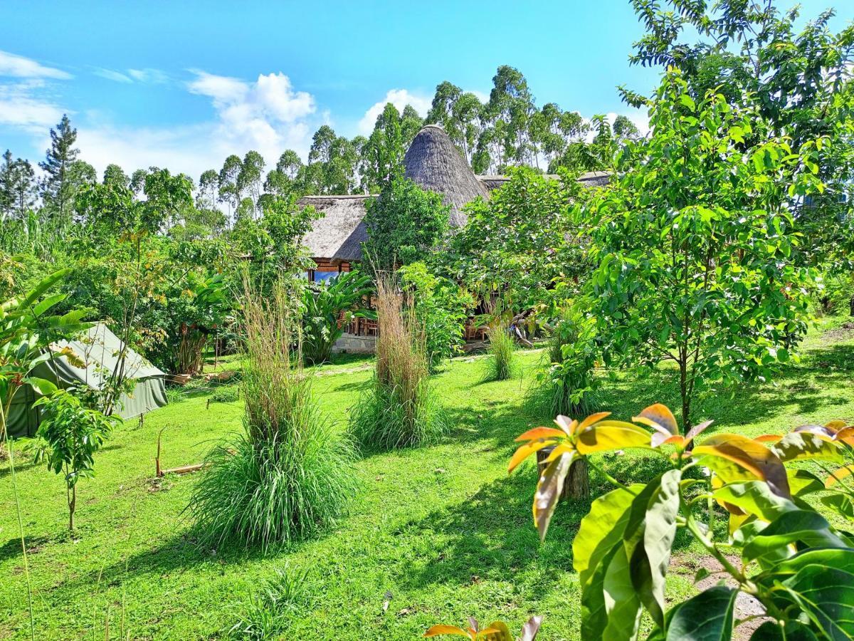Chimpanzee Capital Safari Lodge Bigodi エクステリア 写真