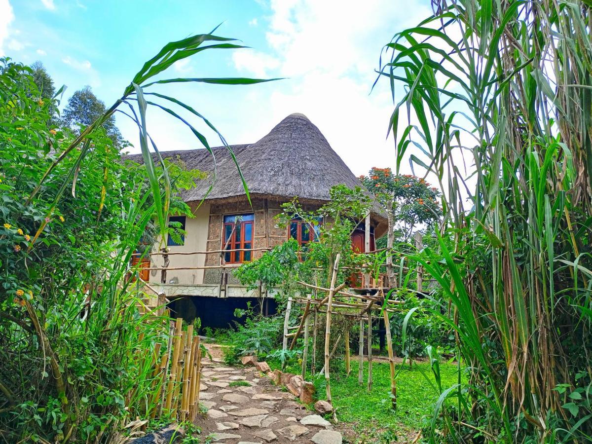 Chimpanzee Capital Safari Lodge Bigodi エクステリア 写真