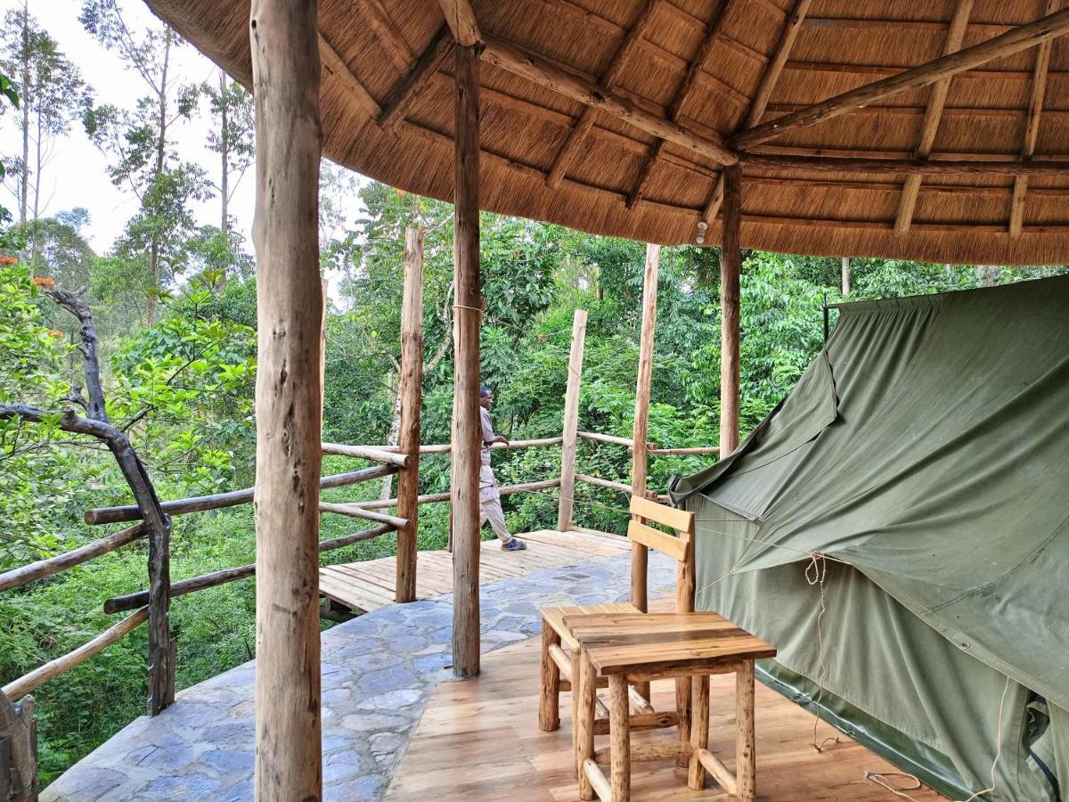 Chimpanzee Capital Safari Lodge Bigodi エクステリア 写真