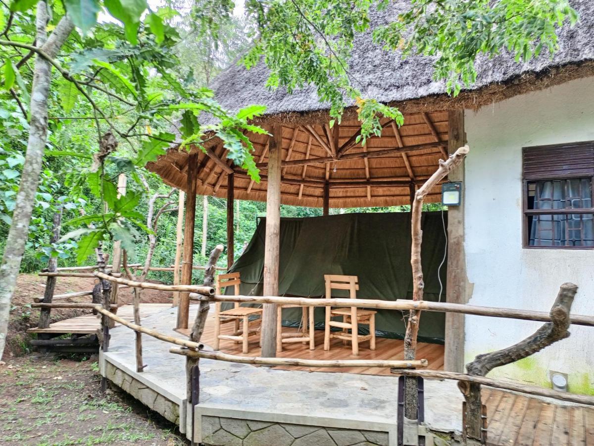 Chimpanzee Capital Safari Lodge Bigodi エクステリア 写真