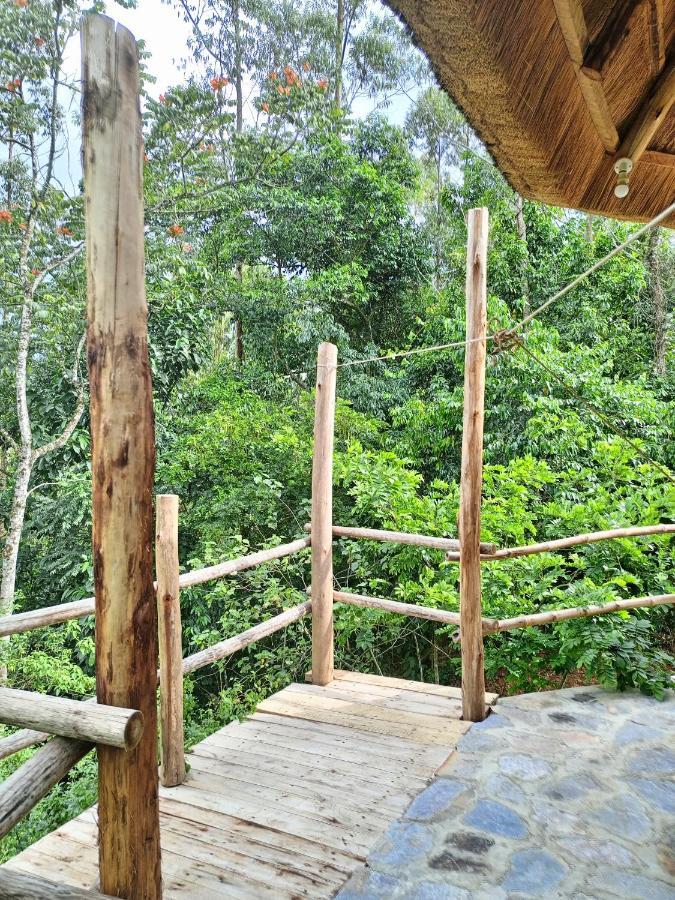 Chimpanzee Capital Safari Lodge Bigodi エクステリア 写真