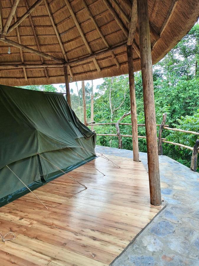 Chimpanzee Capital Safari Lodge Bigodi エクステリア 写真