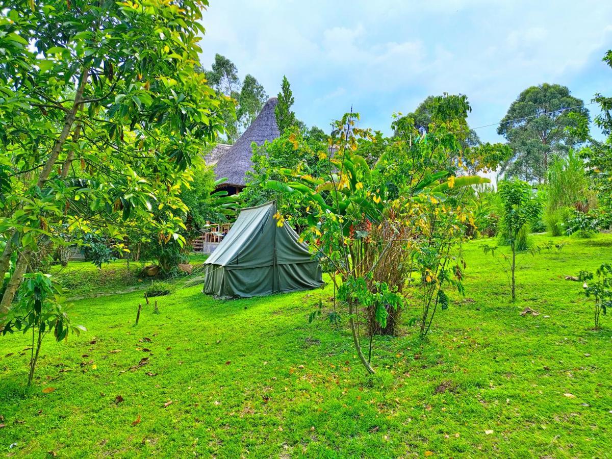 Chimpanzee Capital Safari Lodge Bigodi エクステリア 写真