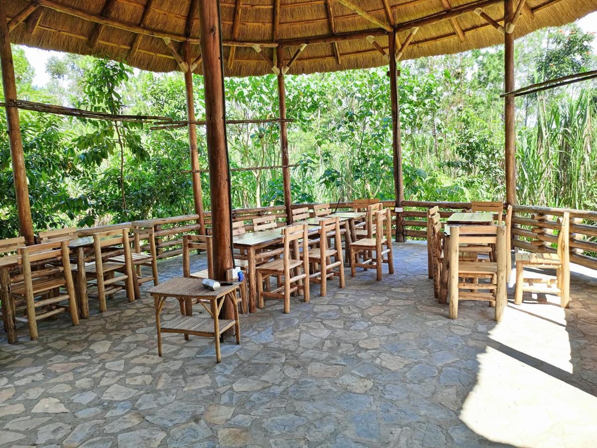 Chimpanzee Capital Safari Lodge Bigodi エクステリア 写真