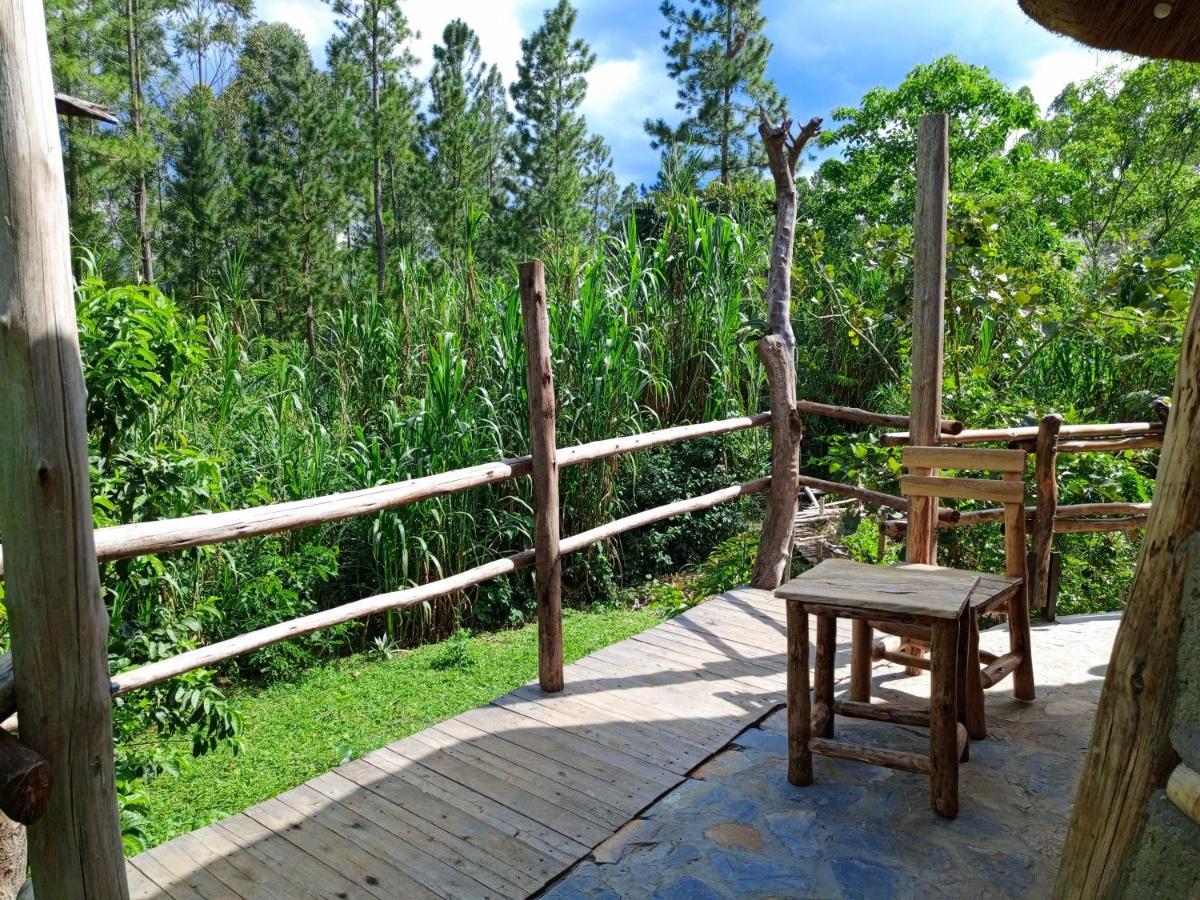 Chimpanzee Capital Safari Lodge Bigodi エクステリア 写真
