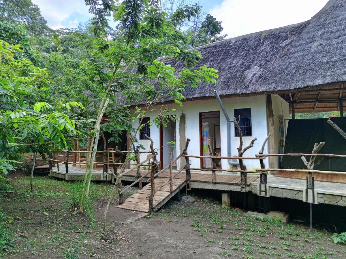 Chimpanzee Capital Safari Lodge Bigodi エクステリア 写真