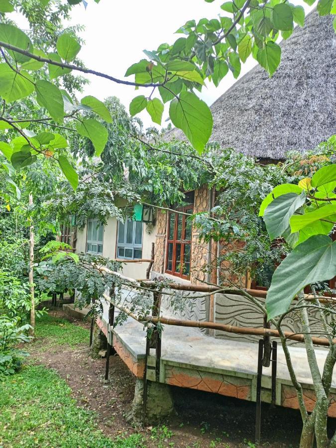 Chimpanzee Capital Safari Lodge Bigodi エクステリア 写真