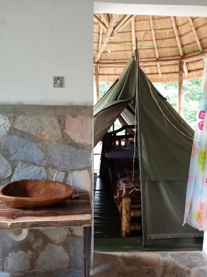Chimpanzee Capital Safari Lodge Bigodi エクステリア 写真