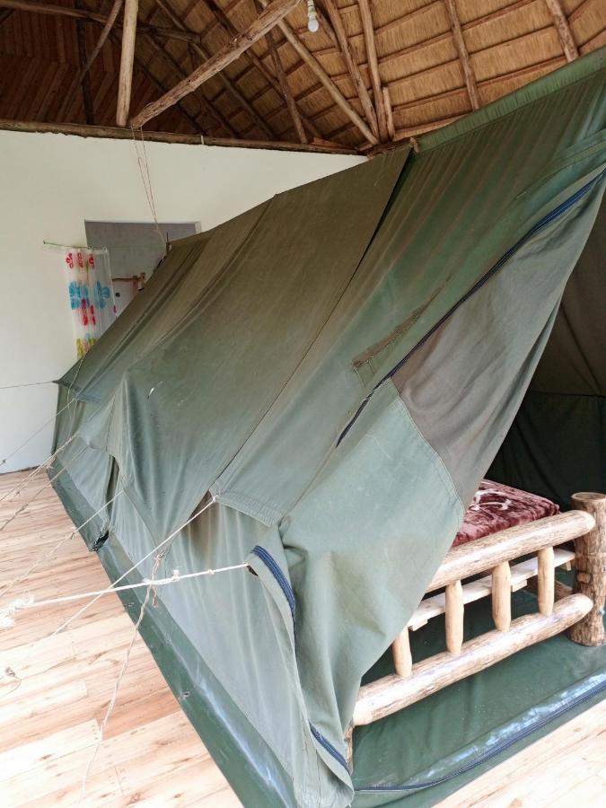 Chimpanzee Capital Safari Lodge Bigodi エクステリア 写真