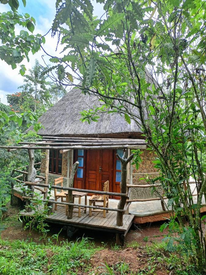 Chimpanzee Capital Safari Lodge Bigodi エクステリア 写真