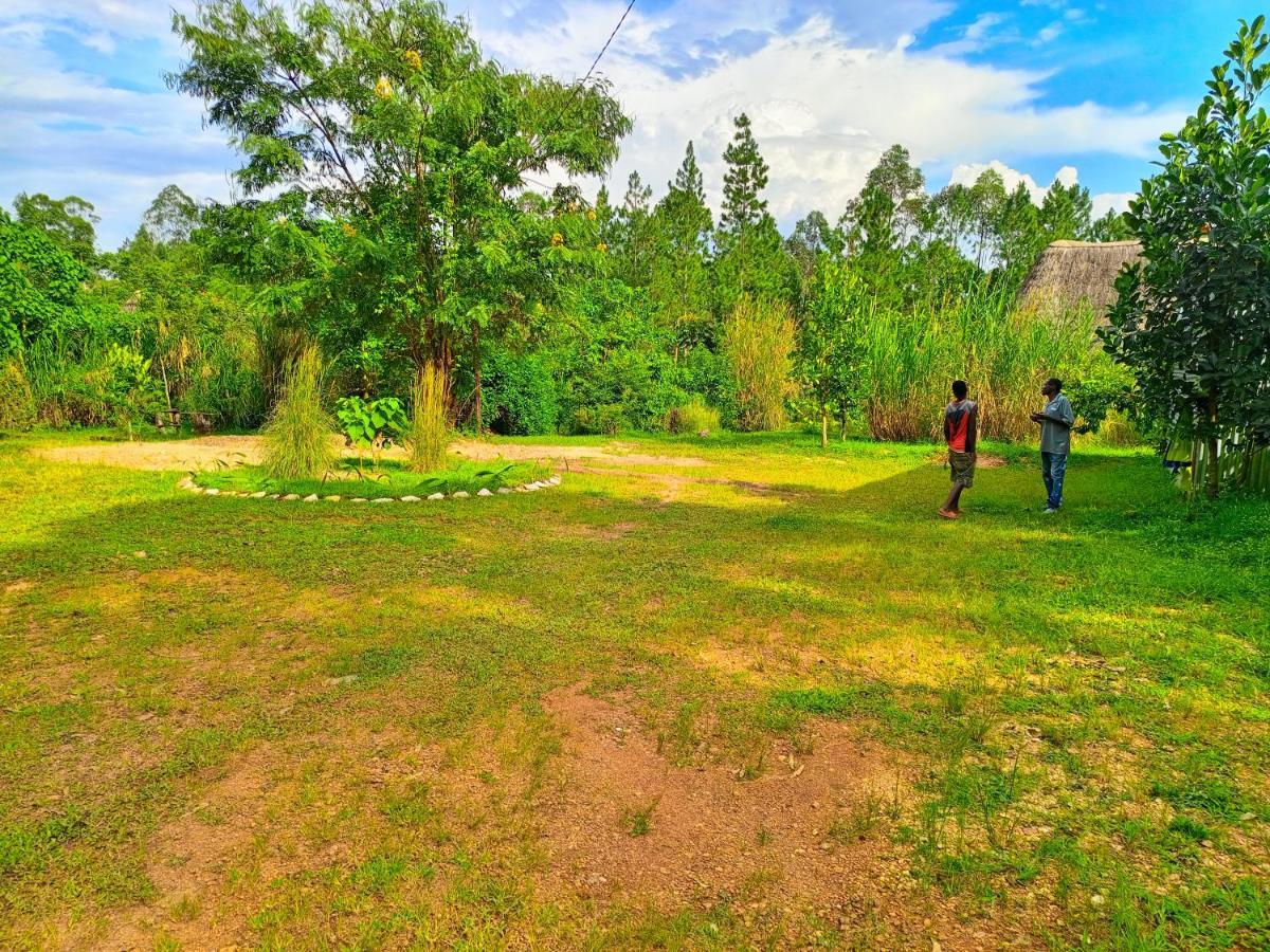 Chimpanzee Capital Safari Lodge Bigodi エクステリア 写真